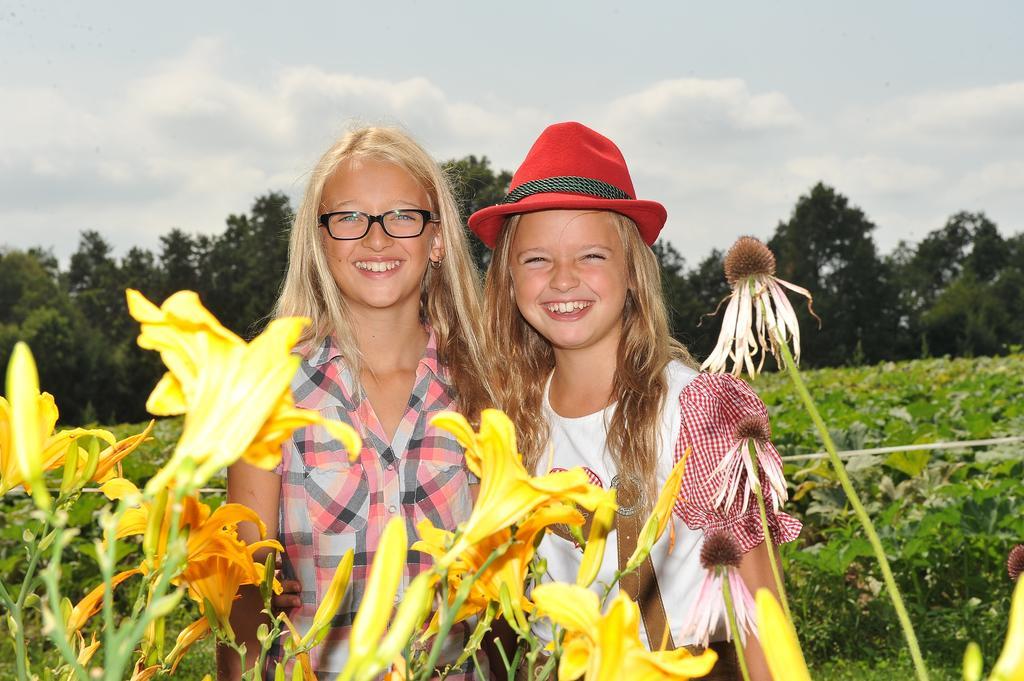 Gasthof Schneider Sebersdorf ภายนอก รูปภาพ